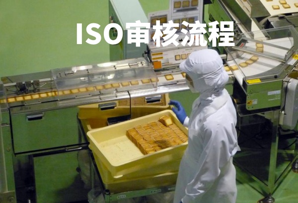 ISO审核流程.jpg